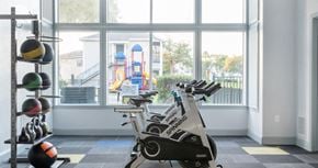 Ocoee apartment for rent - a home gym with a view of a playground