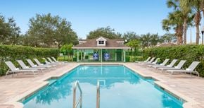 Ocoee apartment for rent - the pool at the resort at longboat key club