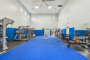 Tampa apartment for rent - A gym with blue carpeting and various exercise equipment.