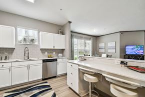 Tampa apartment for rent - Kitchen