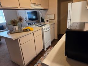 Russellville apartment for rent - A small kitchen with a white dishwasher and a white fridge.
