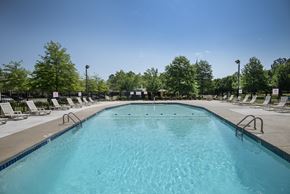 Little Rock apartment for rent - A large outdoor swimming pool surrounded by lounge chairs and trees.