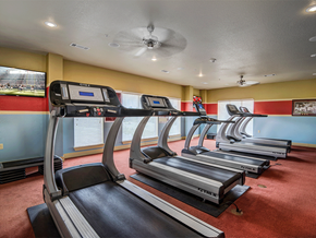 Starkville apartment for rent - a gym with rows of treadmills on the floor