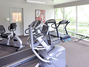 Fayetteville apartment for rent - a gym with cardio equipment and large windows