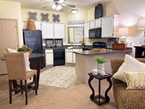 Little Rock apartment for rent - A kitchen with a black refrigerator and a black stove top oven.