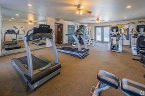 Moore apartment for rent - a gym with treadmills and other exercise equipment at the enclave at woodbury