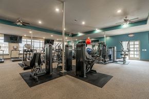 Springdale apartment for rent - a gym with weights and cardio equipment at the enclave at woodbury