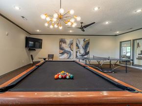 Springfield apartment for rent - a game room with a pool table and a television