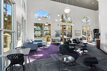 San Diego apartment for rent - A modern living room with a purple carpet and black chairs.