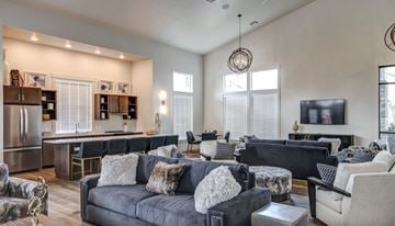 Meridian townhouse for rent - A modern living room with a grey couch and a television.