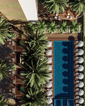 Hollywood apartment for rent - A pool surrounded by palm trees and white umbrellas.