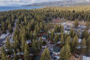 South Lake Tahoe apartment for rent - A forest of trees surrounds a small building.