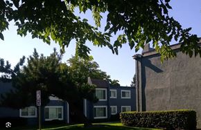 Marysville apartment for rent - Community view with building windows and trees above