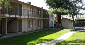 Merced apartment for rent - a walkway leading to an apartment building with a large tree in the background