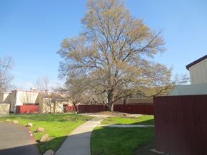 Sacramento townhouse for rent - Lush Green Walking Trail at American River Gardens, Sacramento, CA
