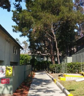 San Diego apartment for rent - a sidewalk in front of a house with trees