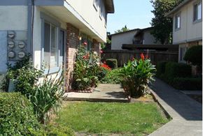 Santa Rosa apartment for rent - a small garden in front of a house