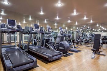A gym with rows of treadmills and other exercise equipment