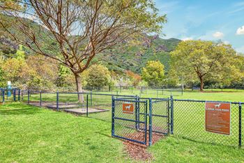 A dog park with a fence and a tree