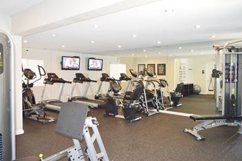 The gym is equipped with a variety of weights and cardio equipment