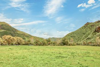 A green field with mountains in the background