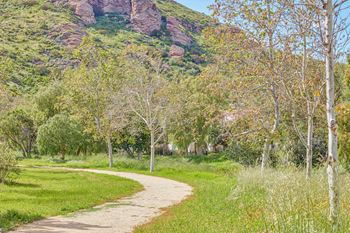 A path winds through a grassy area with trees on either side.