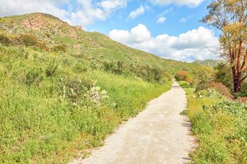 A dirt road leads through a grassy field.