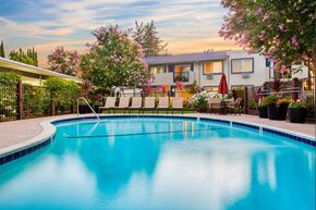 Pleasanton apartment for rent - A swimming pool surrounded by a fence and trees at Pleasanton Place, Pleasanton, CA, 94566