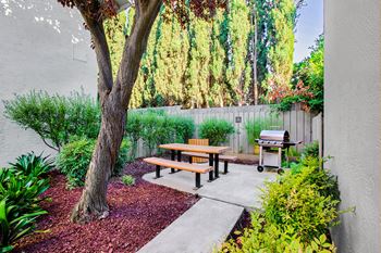 A backyard with a picnic table and a tree.