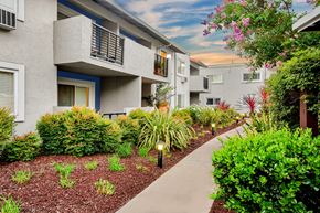 Pleasanton apartment for rent - A concrete pathway leads through a landscaped area in front of apartment buildings at Pleasanton Place, Pleasanton, CA, 94566