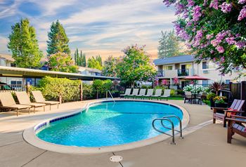 A pool surrounded by chairs and trees.