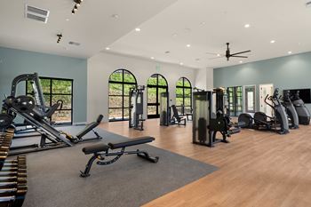 A gym with a variety of equipment including treadmills, weights, and a bench.