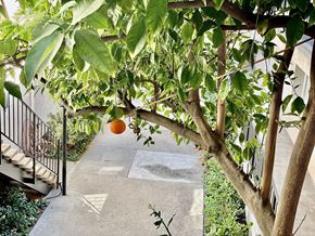 Encino apartment for rent - Apartment Building in Encino Greenery