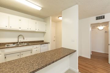 Los Angeles apartment for rent - a kitchen with granite countertops and a sink and a door to a hallway