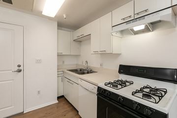Los Angeles apartment for rent - the preserve at ballantyne commons apartment kitchen with stove and sink