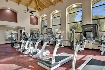 A gym with treadmills and exercise equipment.