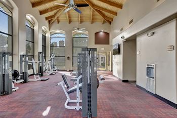 A gym with a variety of equipment including treadmills, weights, and a bench press.