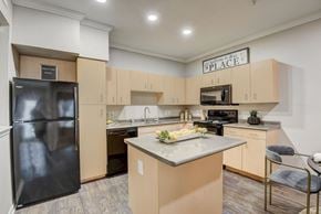 Austin townhouse for rent - a kitchen with stainless steel appliances and a marble counter top at Artisan Apartments & Shops, Texas, 78729