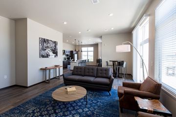 Sturgeon Bay apartment for rent - A living room with a black couch and a blue rug.