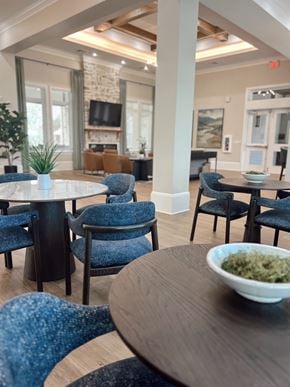 Zephyrhills apartment for rent - A dining area with blue chairs and a bowl of green food on the table.