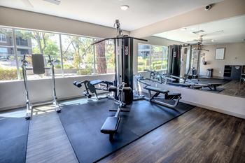 Modern fitness gym