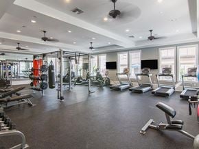 Ocoee apartment for rent - State Of The Art Fitness Center at The Oasis at Lake Bennet, Ocoee