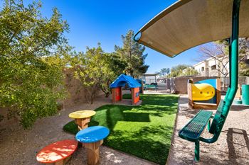 Pet park with agility equipment