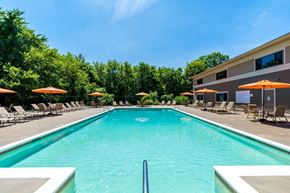 Warwick apartment for rent - A large swimming pool surrounded by lounge chairs and umbrellas.