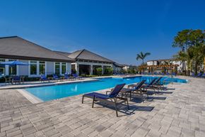 Bradenton apartment for rent - a resort style pool with lounge chairs and umbrellas  at The Oasis at Manatee River, Florida, 34211