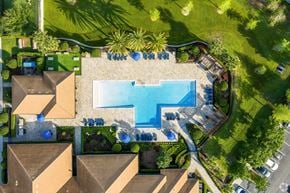 Ocoee apartment for rent - A swimming pool surrounded by a grassy area and a few trees.