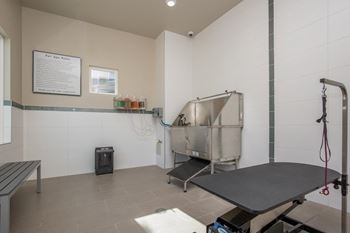 Pet wash
