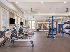 Zephyrhills apartment for rent - A gym with a variety of equipment including treadmills, weights, and exercise machines.
