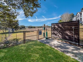 Dog park