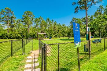 Dog park